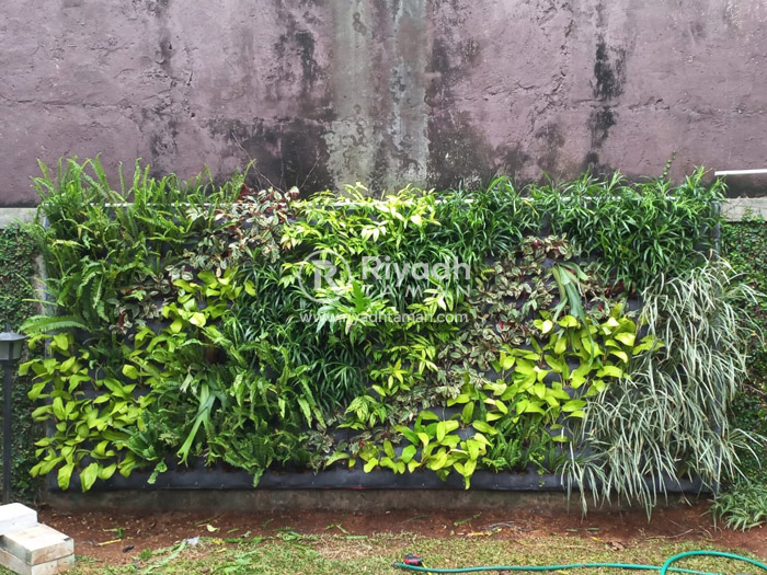 Jasa Vertical Garden Bekasi